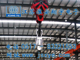 安徽新顯通無線儀表控制電子吊秤 - 江蘇淮安翔宇電子吊秤廠家案例