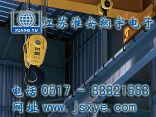 起重限制保護(hù)系統(tǒng)廠家江蘇淮安翔宇電子測控自動(dòng)化起重機(jī)超載限制器 起重超載限制器保護(hù)系統(tǒng)安全可靠堅(jiān)固耐用 更多起重機(jī)起重限制器就在www.gxfos.com 電話0517-83321553