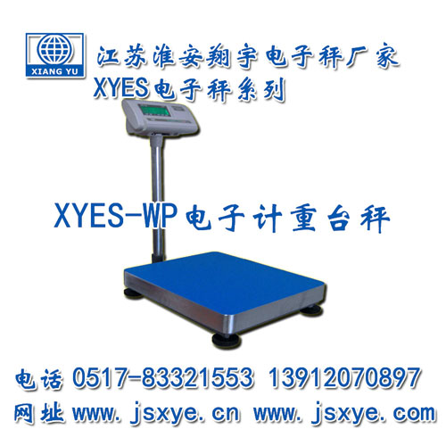 計(jì)重臺(tái)秤,計(jì)重臺(tái)秤廠家,臺(tái)秤,臺(tái)秤廠家,江蘇臺(tái)秤,淮安臺(tái)秤,XYES